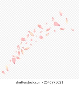 Bright Flower Vector Transparent Background. Petal Beauty Cover. Confetti Blur Texture. Floral Aroma Congratulation. Color Blooming Wallpaper Banner.