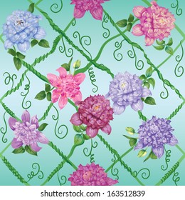 bright flowers of clematises on a turquoise background with interlacing of stems as an arbour