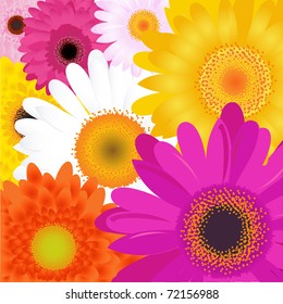 Bright Flowers, Isolated On White Background, Vector Illustration