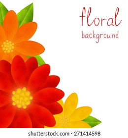 Bright flowers on white background