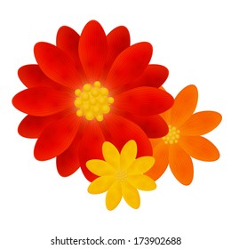 Bright flowers for Your design