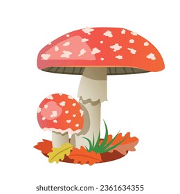 Bright fly agaric with autumn leaves on a white background.