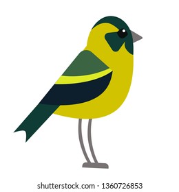 bright forest bird flat illustration