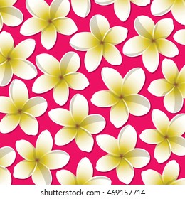Bright frangipani pattern in vector format.