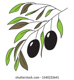 Bright freehand vector drawing, branch with black olives and green leaves. For the design of kitchen utensils, dishes, labels, stickers, food.