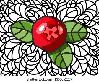 Bright fresh cranberry on a lace background in doodle style. Cartoon of the berry