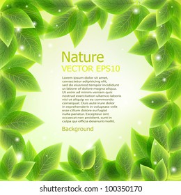 bright fresh green leaves border vector background