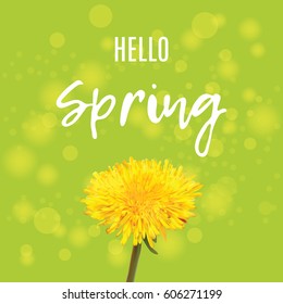 Bright fresh green spring background. Hello spring. Bright yellow banner with bokeh. Vector flower.