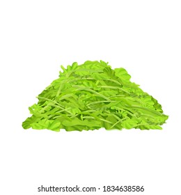 Bright, fresh lettuce, chopped in small pieces, stack of salad isolated on white background. Pile of ingredient, organic food. 