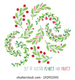 Bright fresh watercolor plants with flowers and fruits - vector for design