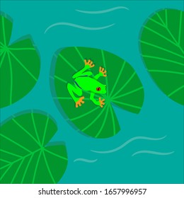 a bright frog sitting in a pond on a Lily pad. Vector illustration.