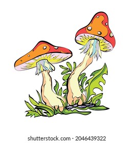 Bright funny fly agarics in leaves