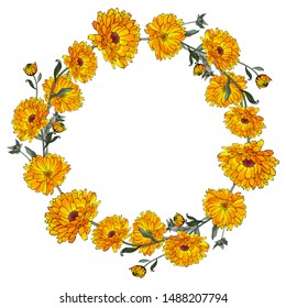 Bright garland from flowers Calendula. Floral round frame with orange Marigold for your design. Place for your text. Vector.