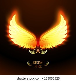 Burning Vector Wings Stock Vector (Royalty Free) 96580678 | Shutterstock