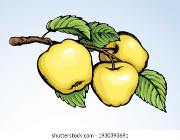 Bright gold hand drawn ripen raw fresh twig stem grow logo emblem design retro art doodle line sketch print style. Closeup view bio eco sweet juicy tasty health vegan diet white autumn sky text space