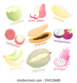 bright graphic set of exotic fruits on white background  