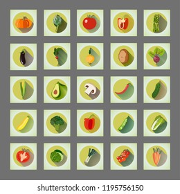 Bright graphic set of organic vegetables: potato, tomato, beetroot, shallot, eggplant, corn, carrot, pepper, avocado, asparagus, artichoke, champignon, zucchini. Flat design, icons, buttons, symbols