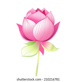 bright graphics beautiful lotus flower on a white background  