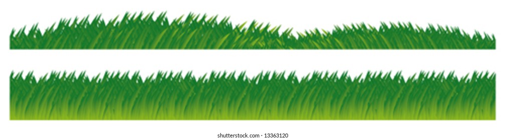 Bright grass of a beautiful shade. An illustration. Isolation on white.