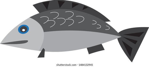 Bright gray mackerel and contrasting white background