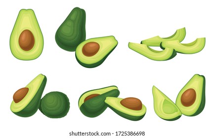 Bright Green Avocado Berry Whole and Halved with Large Seed Vector Set