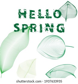 Bright Green Background with Grunge Lettering Hello Spring and leaves. Brochure, Flyer , Poster , Banner Design Template . 