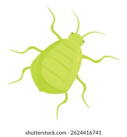 Besouro verde brilhante está atravessando um fundo branco