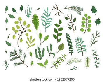 Bright green and blue sketch herbs, leaves and branches collection. Watercolor botanical elements isolated on white background for print design, surface decoration