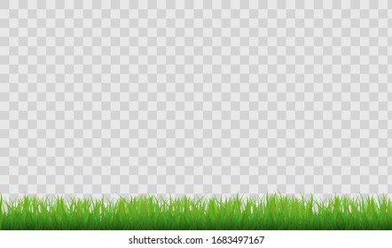 Bright green grass. Isolated on transparent background grass border. Vector illustration.