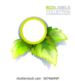 Bright green label template with leaves for organic, natural and eco products