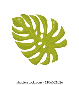 Bright green leaf of tropical plant - monstera. Jungle foliage. Botanical theme. Flat vector element for promo poster or flyer
