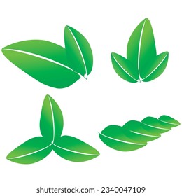 bright green leaf vector illustration