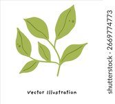 Bright Green Leaves and Branch Vector Illustration