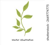 Bright Green Leaves and Branch Vector Illustration