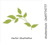 Bright Green Leaves and Branch Vector Illustration