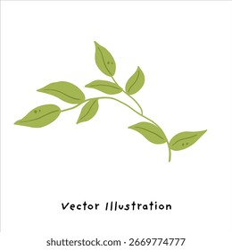Bright Green Leaves and Branch Vector Illustration