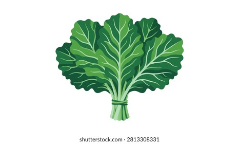 Bright green lettuce salad ingredient with curly leaves ideal for fresh produce and healthy eating concepts