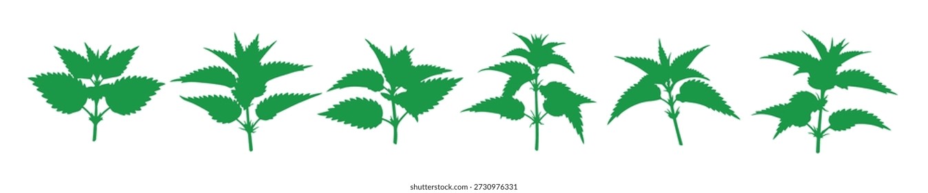 herb urtiga verde brilhante trabalhada com arte desenhada à mão grande
