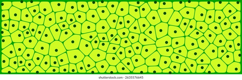 Bright green plant cells pattern with black nuclei, showcasing a stylized microscopic view of cellular structure with a vibrant and educational design.

