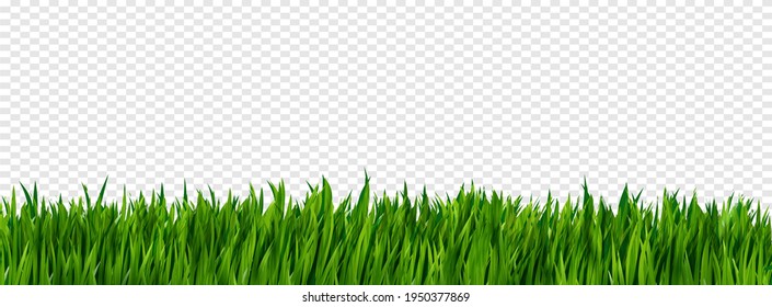 Bright green realistic grass border isolated on transparent background. Vector realistic style