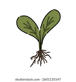 A bright green seedling, highlighted on a white background. Planting a spring sprout for a rich harvest.