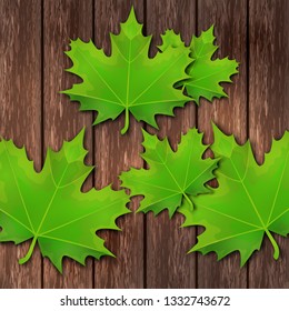 Bright green spring maple leaves on the background of wooden boards. Template for banner or advertisement. Vector illustration for your design.