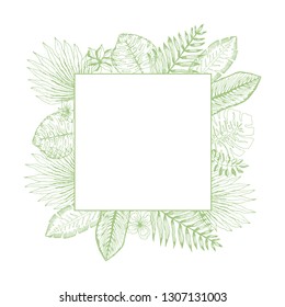 Bright green square frame of hand drawn outline tropical leaves and flowers. Trendy exotic greenery border for summer greeting cards, spring banner design, wedding decoration