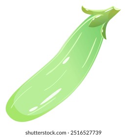 Bright green Squash on a white background. The design vector element isolated vegetable . Green Long Seasonal vegetable Zucchini vegetarian