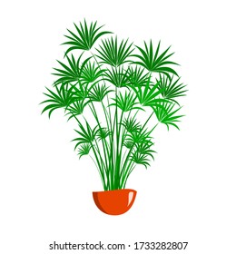 Bright green stylized Cyperus in the stylish pot on the white background