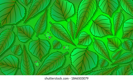 Bright green summer rectangular pattern or wallpaper of different leaves and ladybugs. EPS10