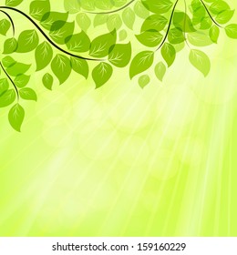Bright green summer vector background with tree leaves.