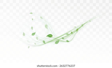 Espiral verde brilhante com folhas torcidas no fundo transparente. Efeito de vetor sobre o tema: saúde, ecologia, medicina e desenvolvimento sustentável.