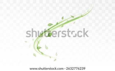 Bright green swirl with twisted leaves on transparent background. Vector effect on the topic: healthcare, ecology, medicine and sustainable development.