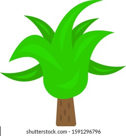 bright green tree with beautiful patterns and spiky branches concept of nature and forest plants object on a white background